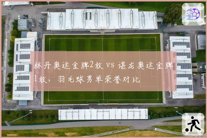 林丹奥运金牌2枚 vs 谌龙奥运金牌1枚，羽毛球男单荣誉对比