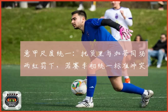 意甲尺度统一:托莫里与加蒂同场两红罚下,若赛季初统一标准冲突减少多少?