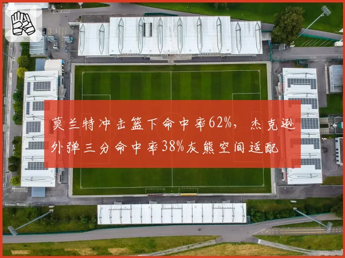 莫兰特冲击篮下命中率62%，杰克逊外弹三分命中率38%灰熊空间适配