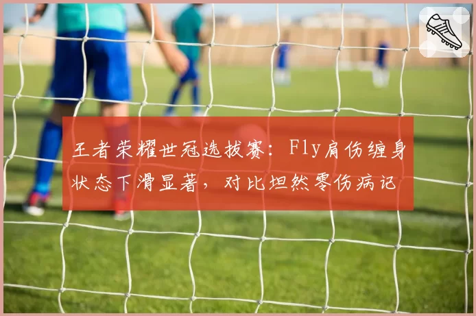 王者荣耀世冠选拔赛：Fly肩伤缠身状态下滑显著，对比坦然零伤病记录保持全年高光