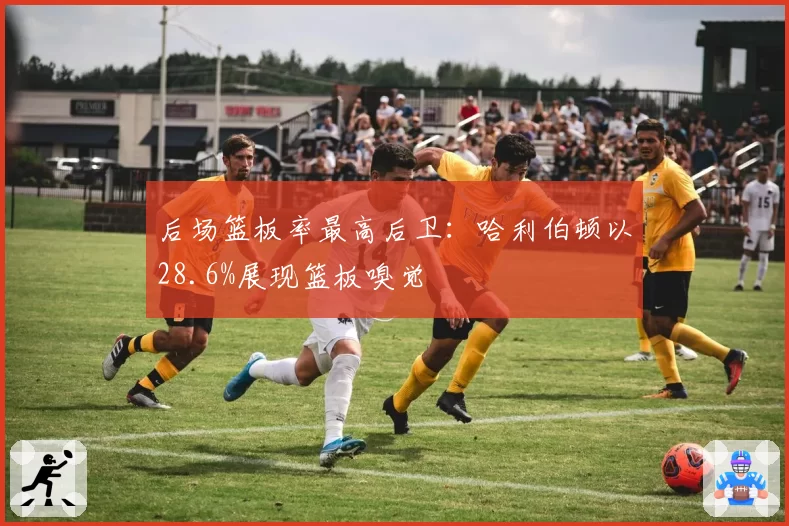 后场篮板率最高后卫：哈利伯顿以28.6%展现篮板嗅觉