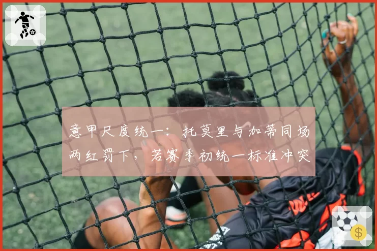 意甲尺度统一:托莫里与加蒂同场两红罚下,若赛季初统一标准冲突减少多少?